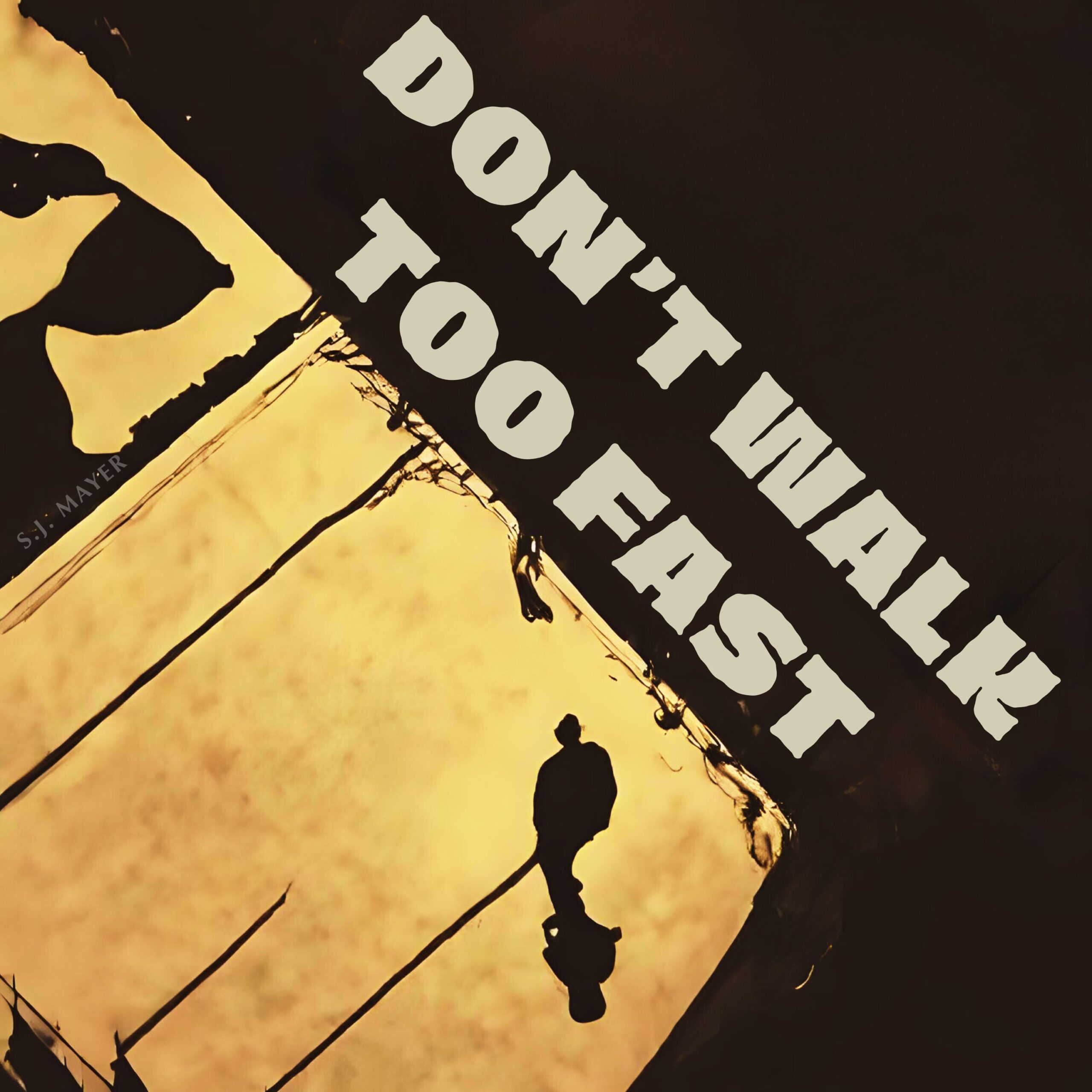 Don't Walk Too Fast - Image 1